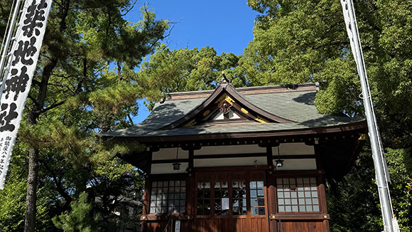 夏の画像1