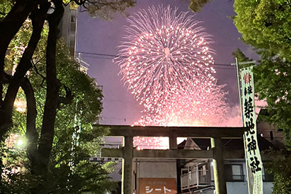 夏の画像2