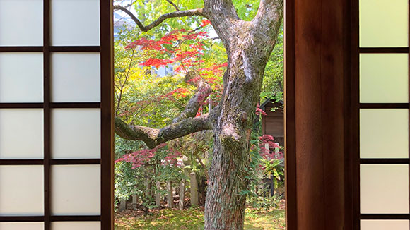 秋の画像1