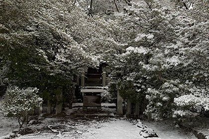 冬の画像2