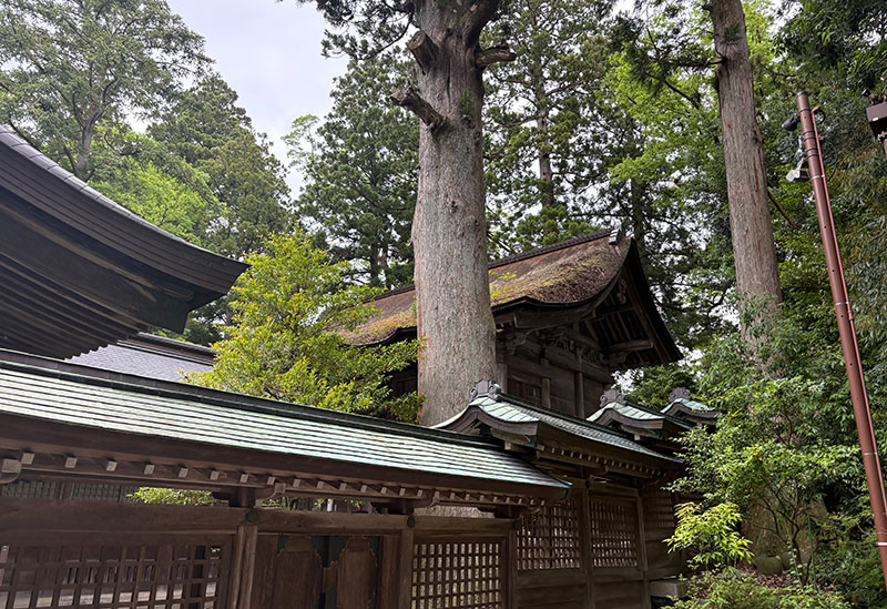 雄山神社 前立社壇