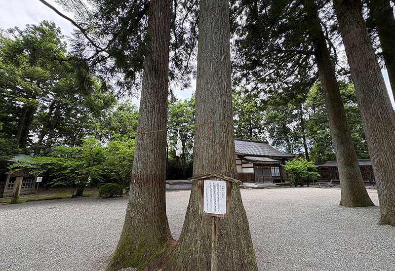 雄山神社 前立社壇
