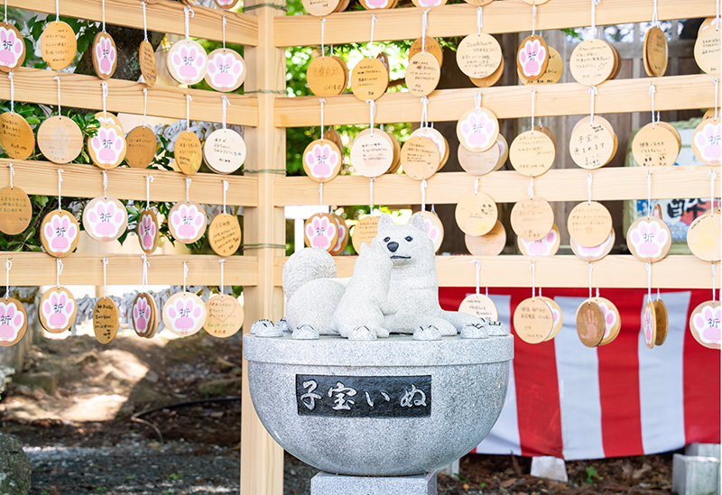 朝峯神社