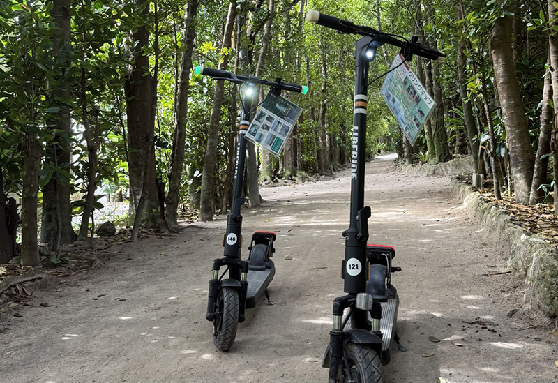 並木レンタサイクル