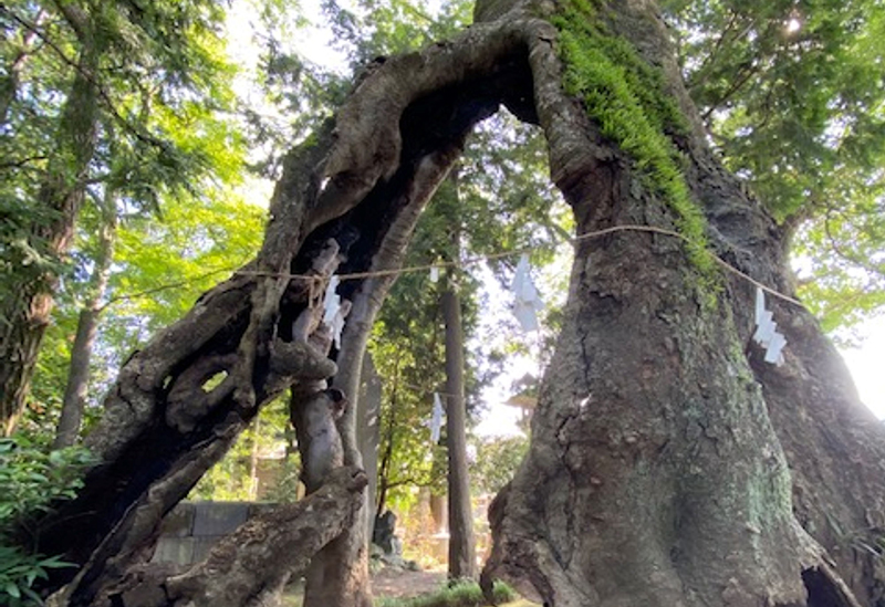 上野國総社神社