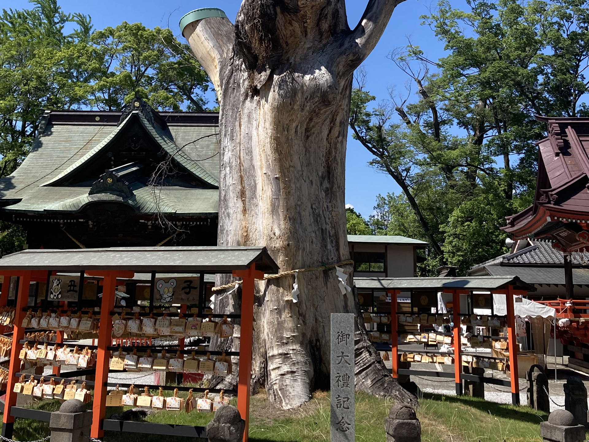 上野國総社神社