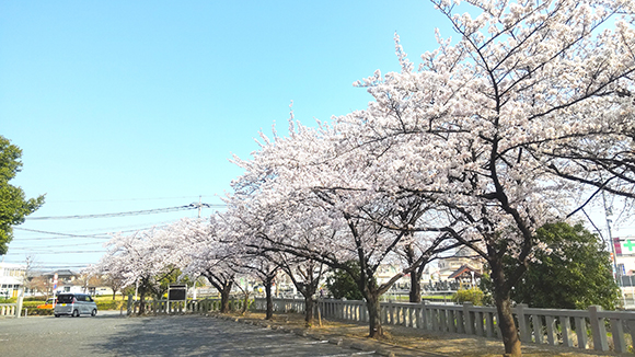 春の画像1