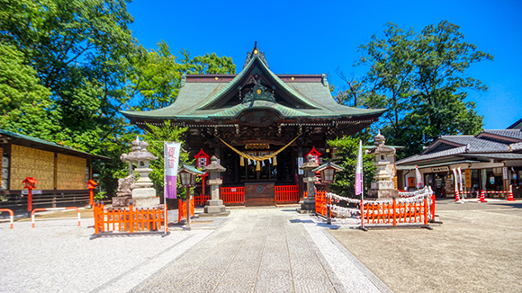 夏の画像1