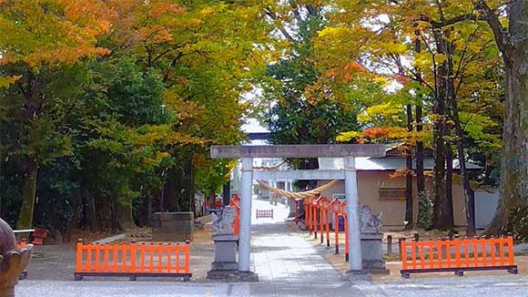 秋の画像1