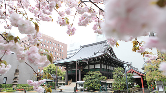 春の画像1