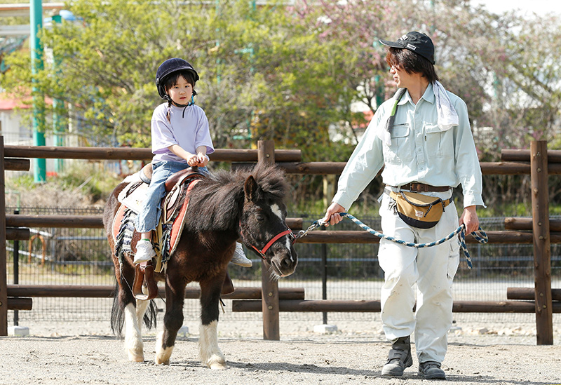 野生の王国　群馬サファリパーク