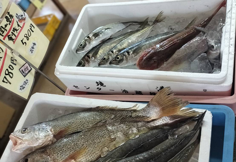 ぼっけぇ市場 生産者直売所