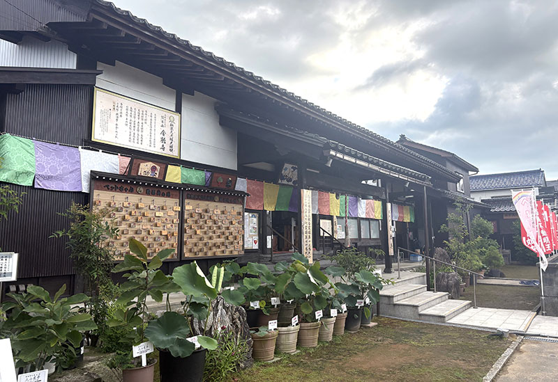 金胎寺