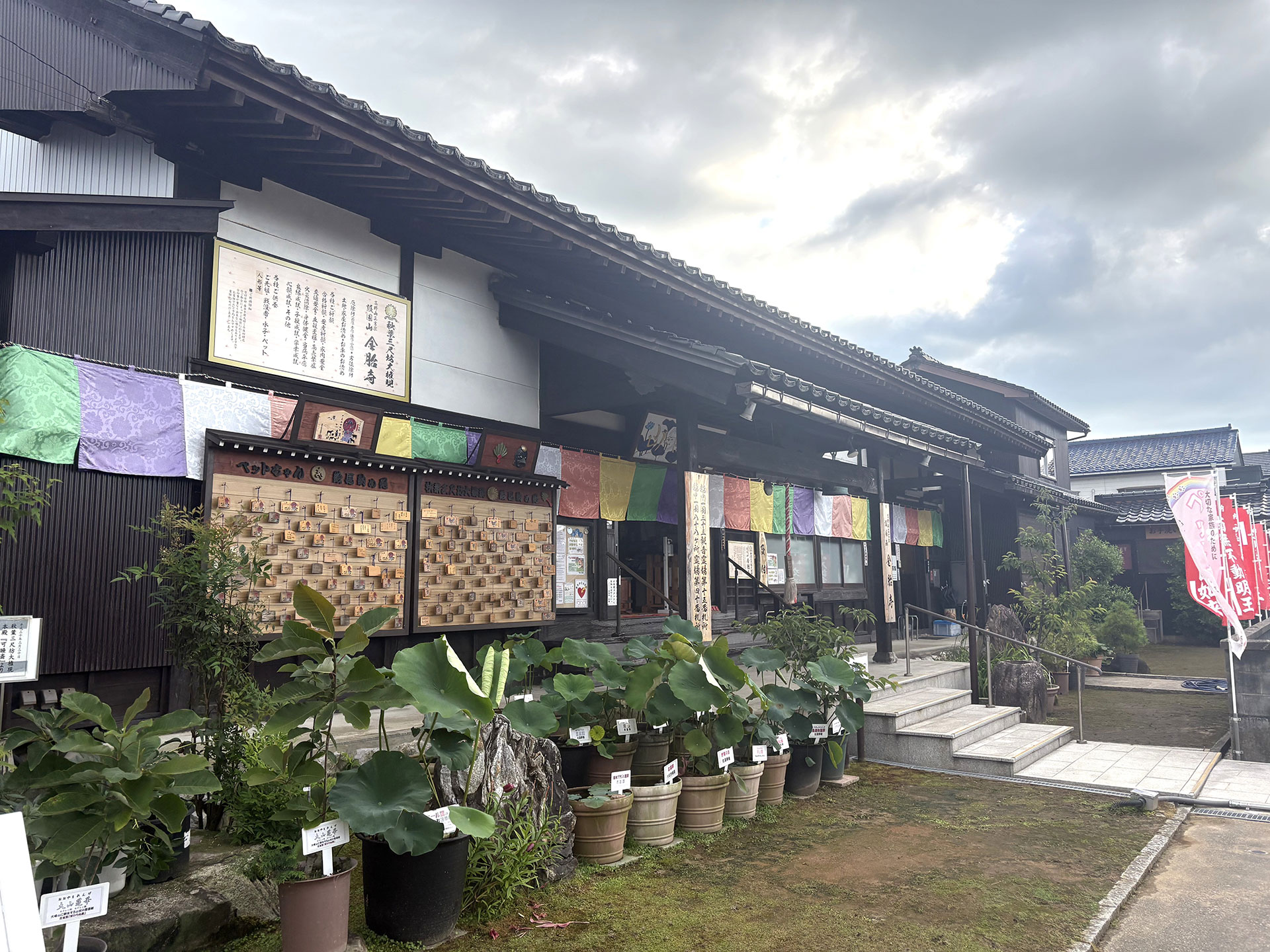 金胎寺