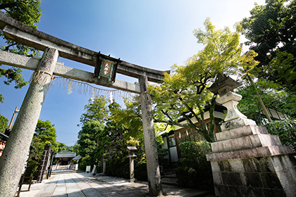 夏の画像2