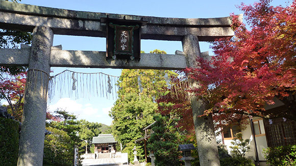秋の画像1