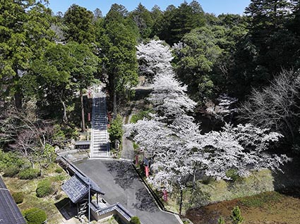 縁城寺