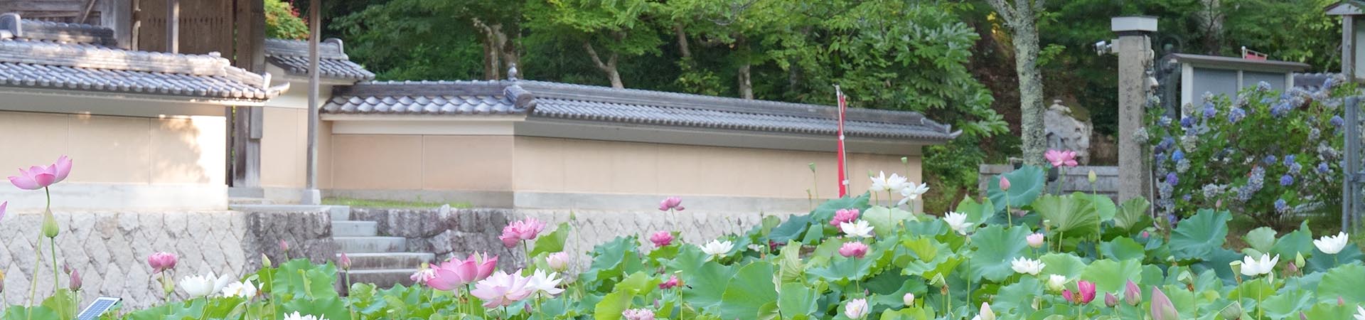 縁城寺