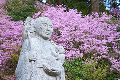 春の画像2