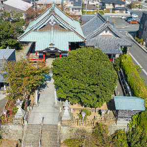 大乗院 三仭坊