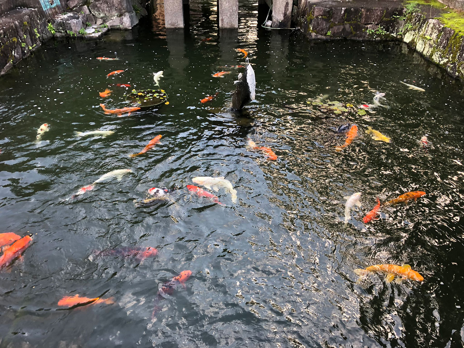 知立神社