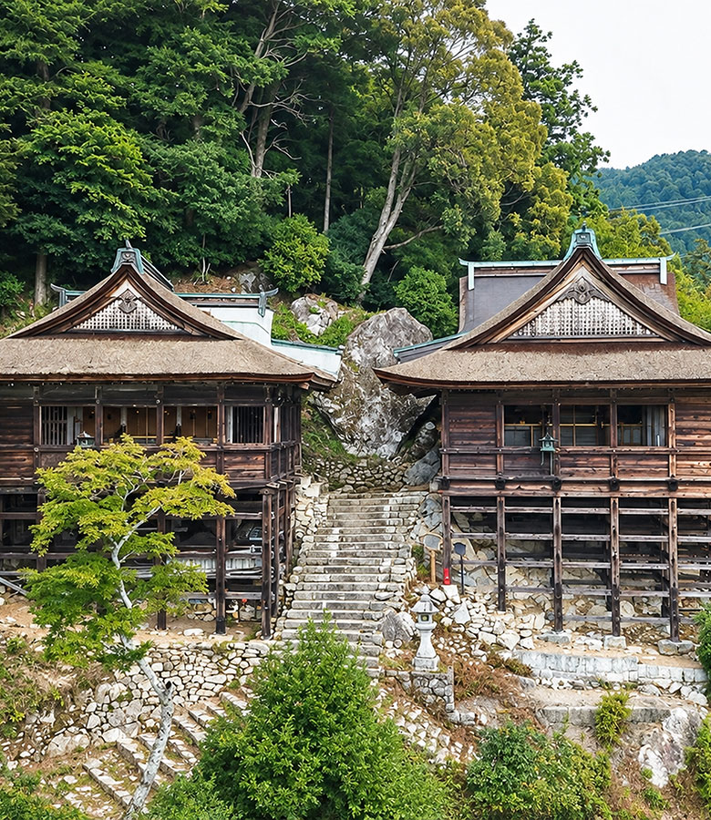 吉田 大益金刚のプ—アル茶。8年人参と九贡プ-アル茶/3点セット 日吉大社＞滋賀県 - 大津エリアの神社仏閣【旅色】