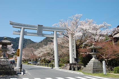 春の画像2