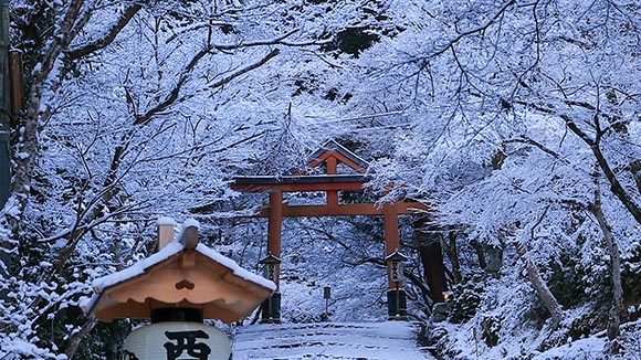 冬の画像1