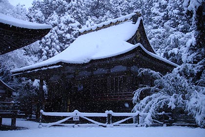 冬の画像2