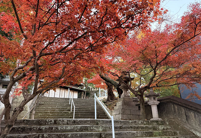 紅葉八幡宮