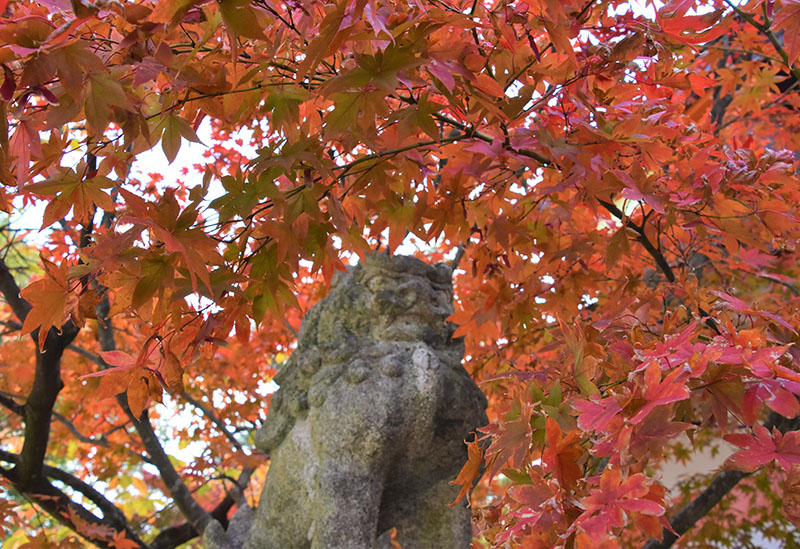 紅葉八幡宮