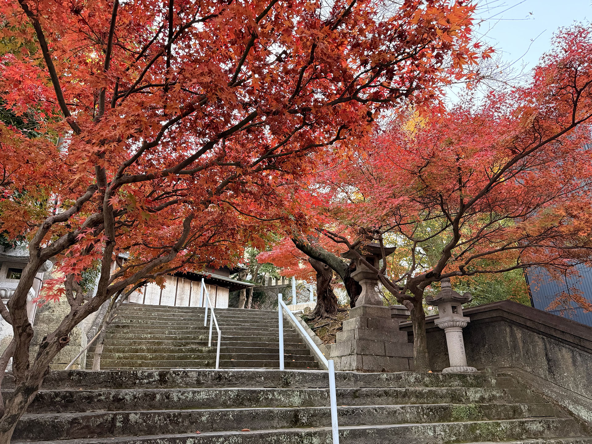 紅葉八幡宮