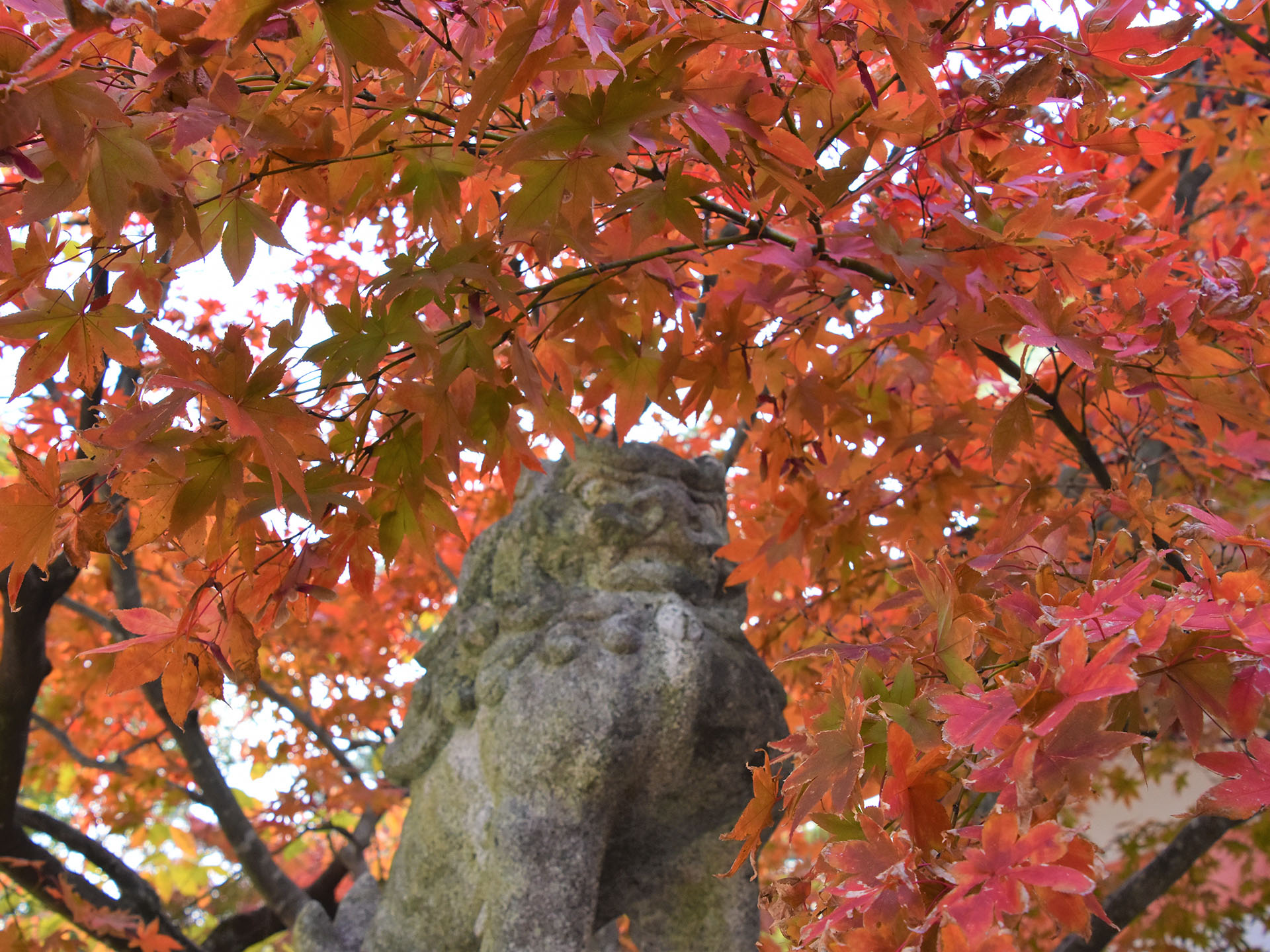 紅葉八幡宮