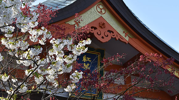 春の画像1