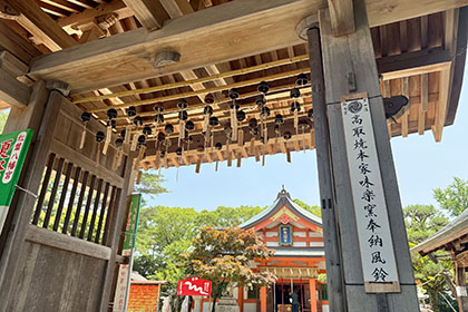 夏の画像2