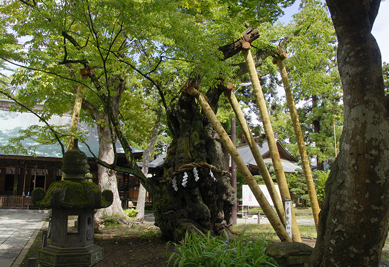 蠶養國神社