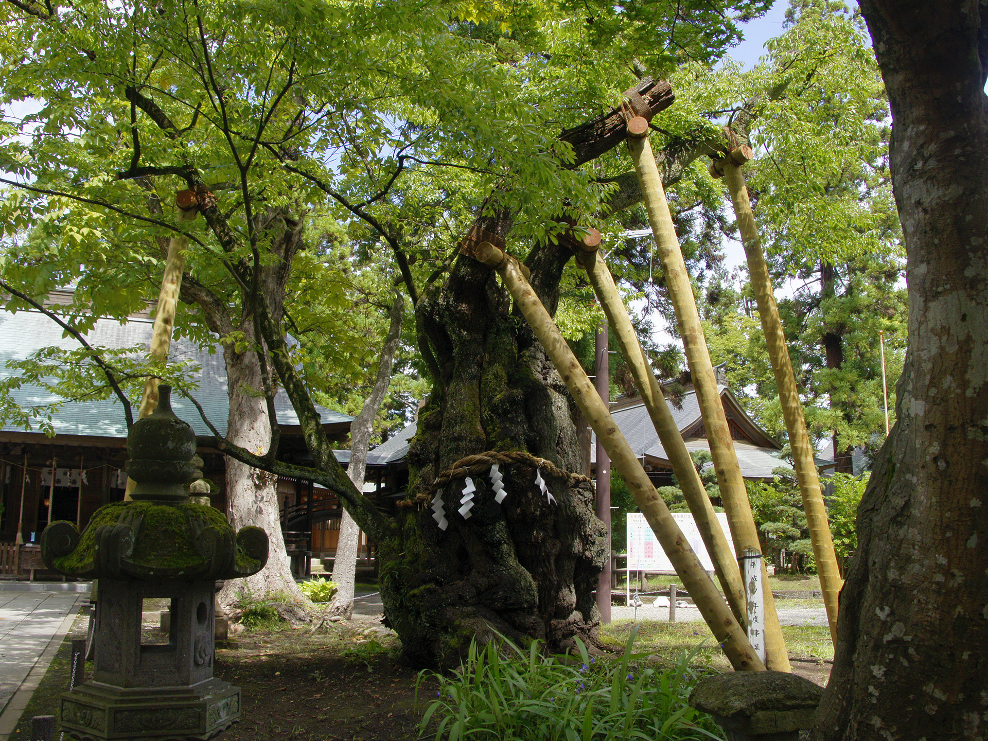 蠶養國神社