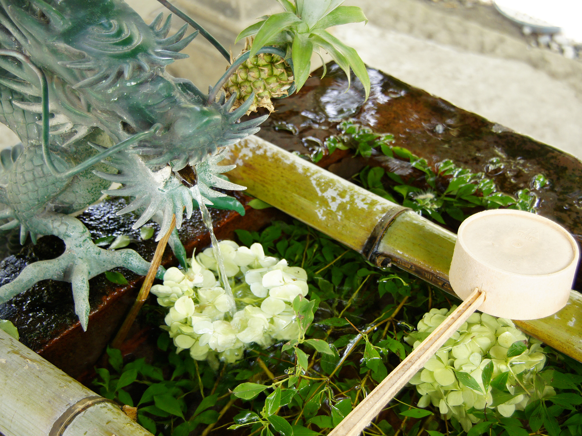 蠶養國神社