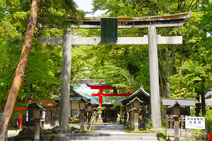 夏の画像2