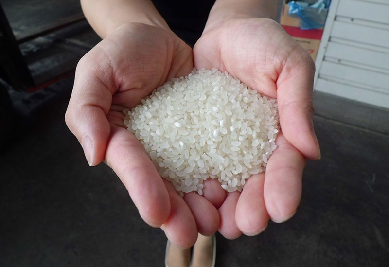 新函館農業協同組合