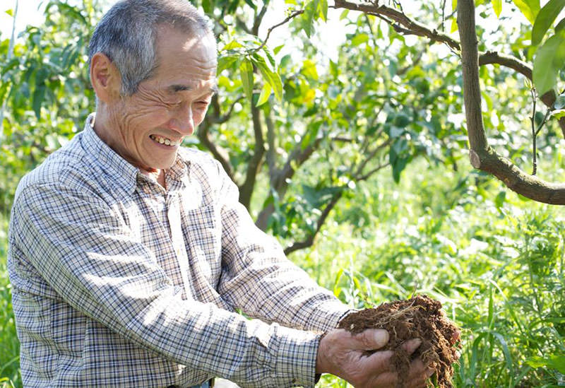 佐藤農場株式会社(鹿島みかん村)
