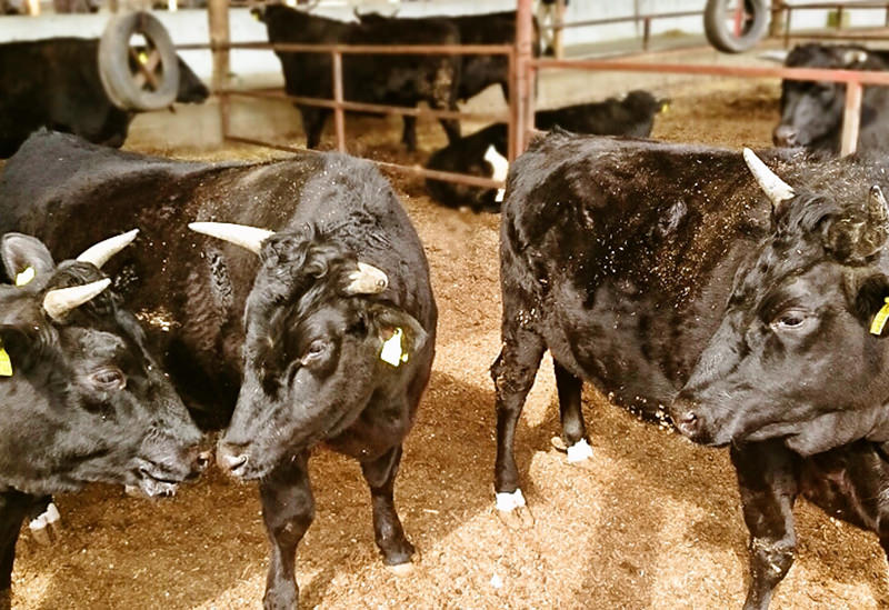 株式会社なかやま牧場