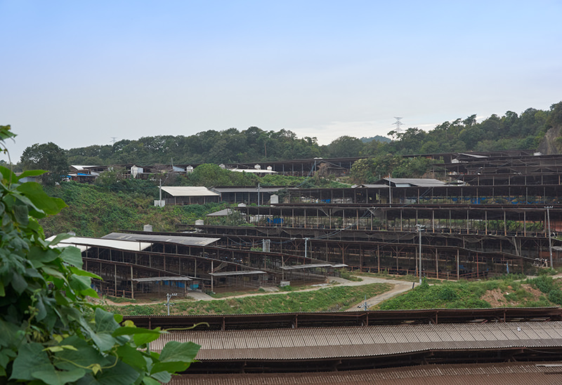 株式会社なかやま牧場