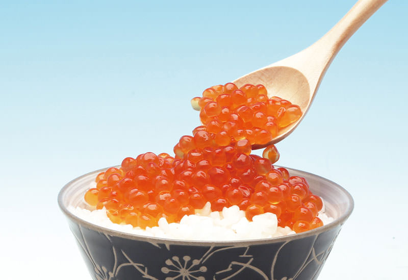 株式会社かわむら家