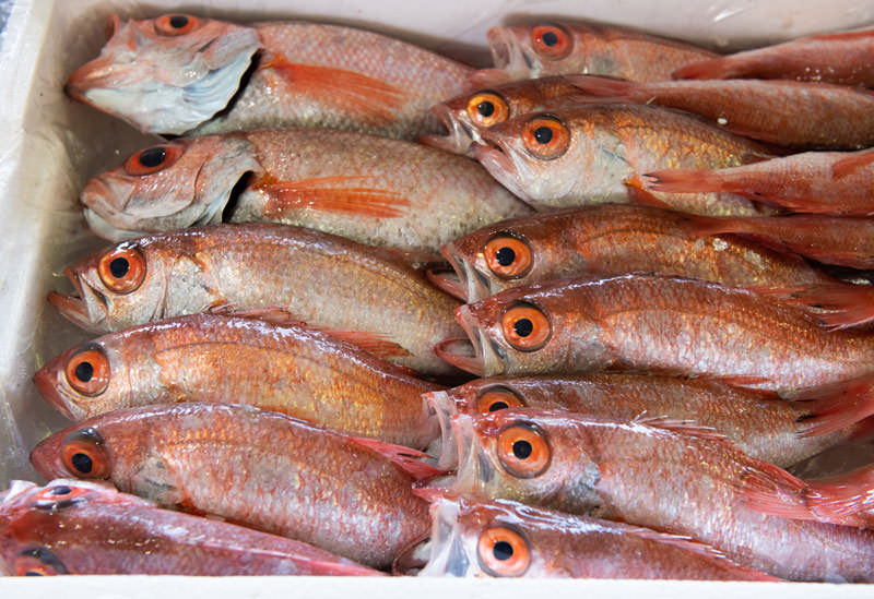 浜坂漁業協同組合