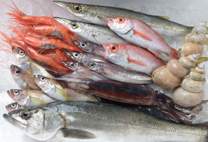 浜坂漁業協同組合