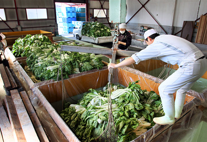 元祖しゃくしな漬 石川漬物
