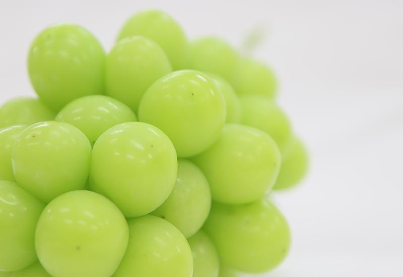 岡山市農業協同組合