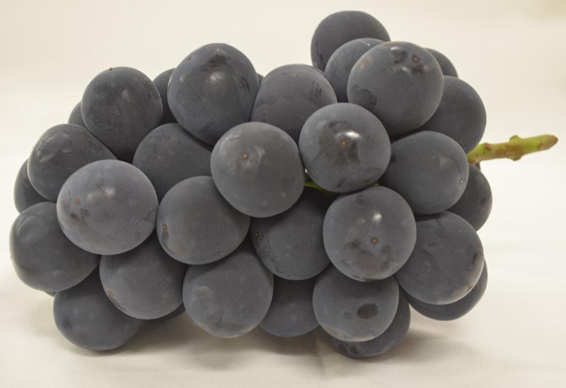 岡山市農業協同組合