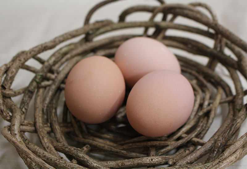 仙寿卵 河瀬養鶏